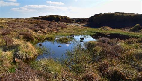 national trust board games|National Trust restores nature across area twice the size of .